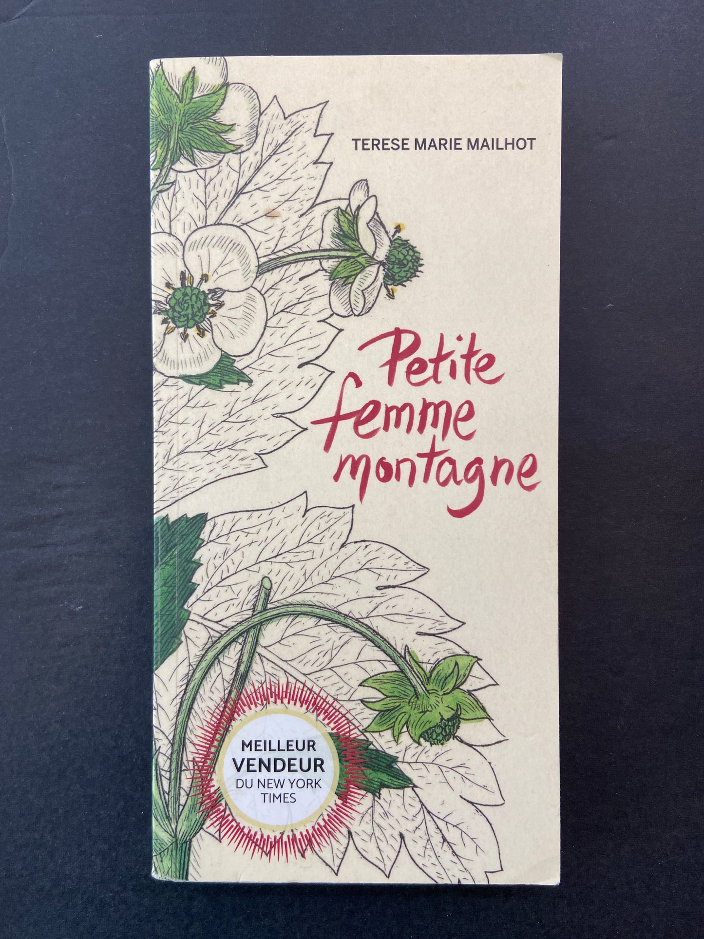 PETITE FEMME MONTAGNE