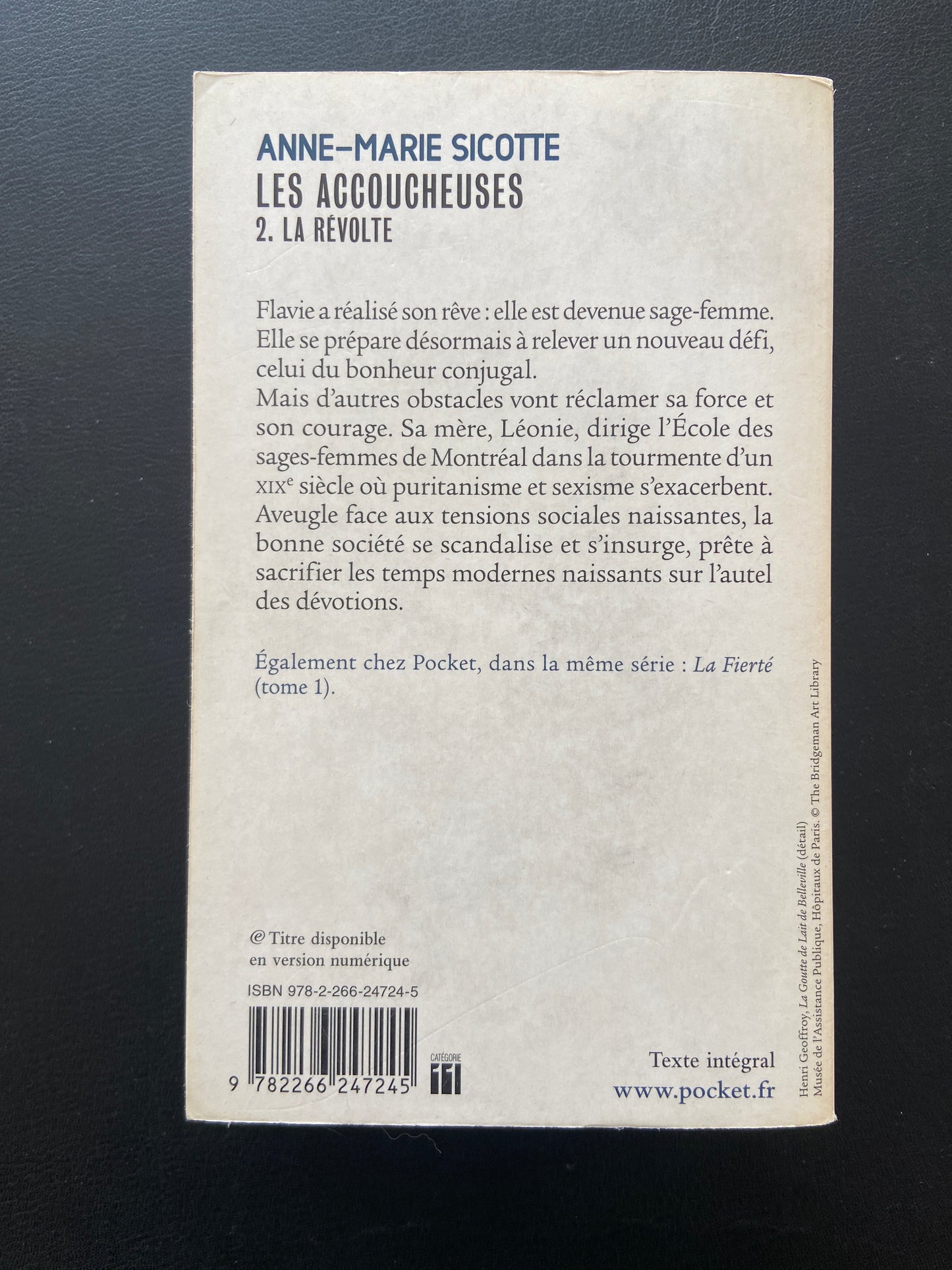 LES ACCOUCHEUSES - TOME 02 - LA RÉVOLTE