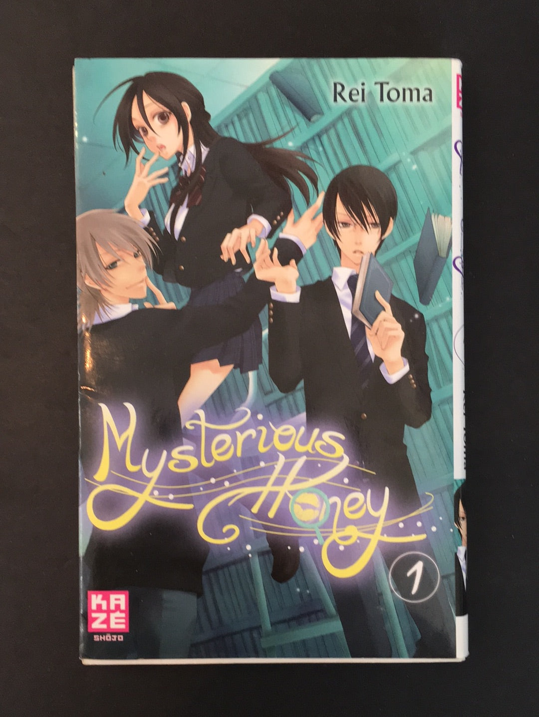MYSTERIOUS HONEY T.01