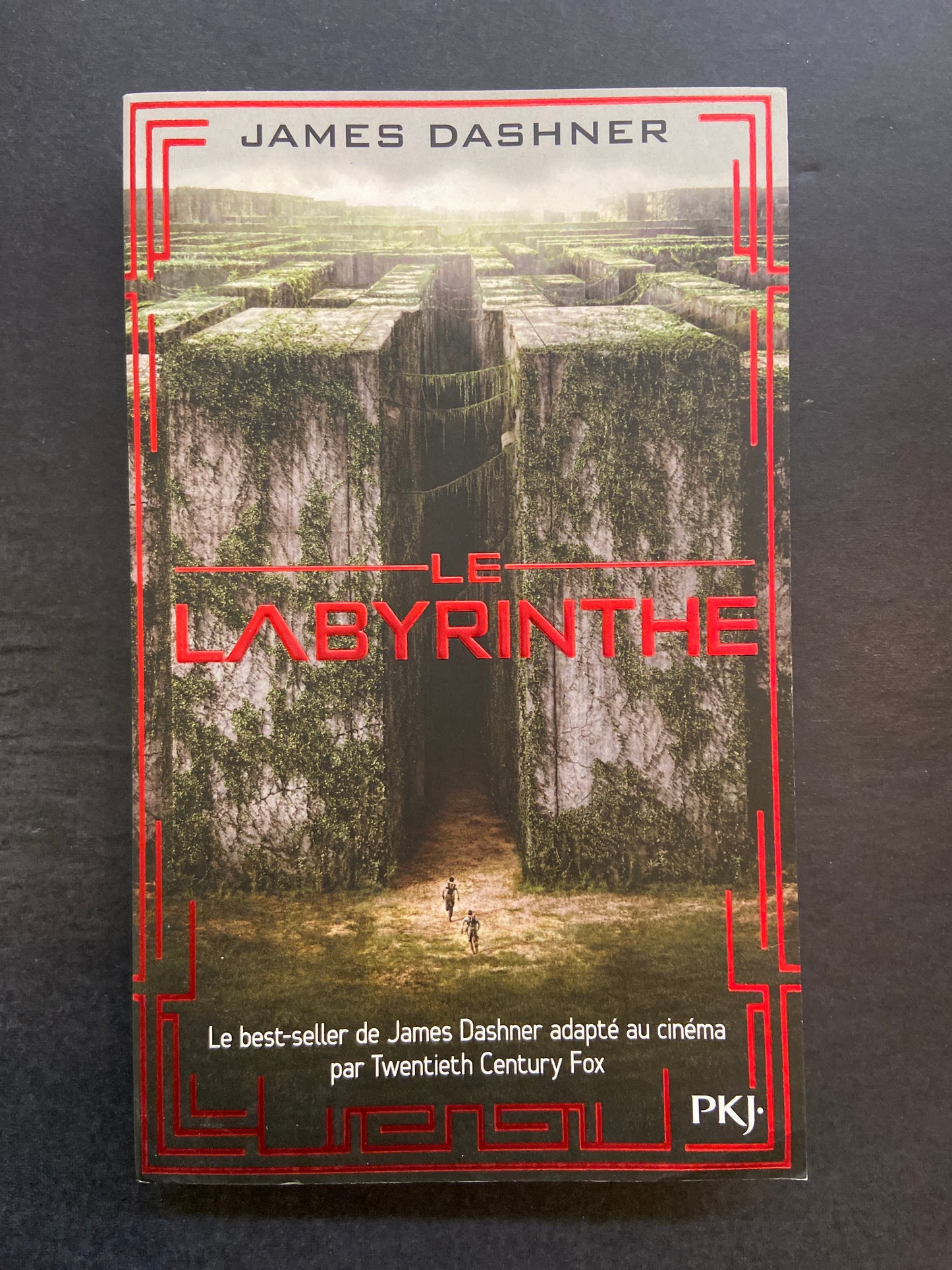 LE LABYRINTHE