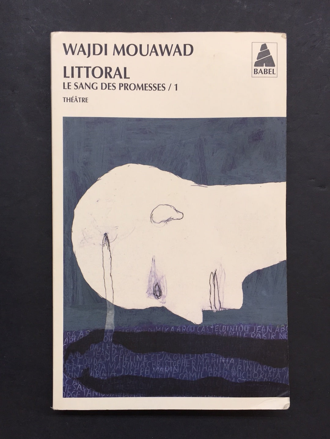 LE SANG DES PROMESSES - TOME 01 - LITTORAL