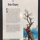 LES TOURS DE BOIS-MAURY - T.11 ASSUNTA