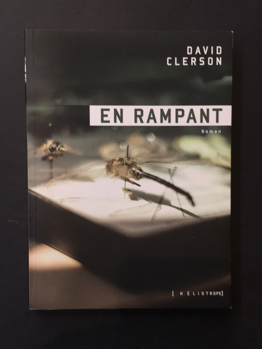 EN RAMPANT