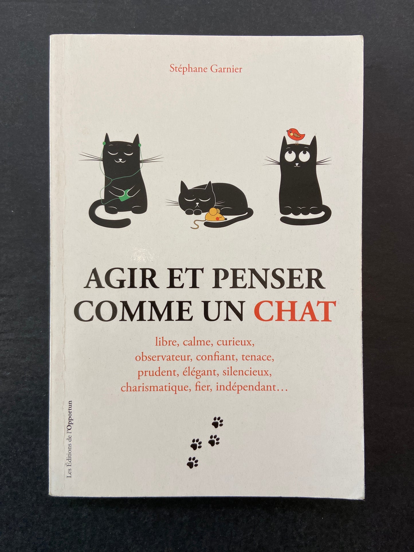 AGIR ET PENSER COMM UN CHAT