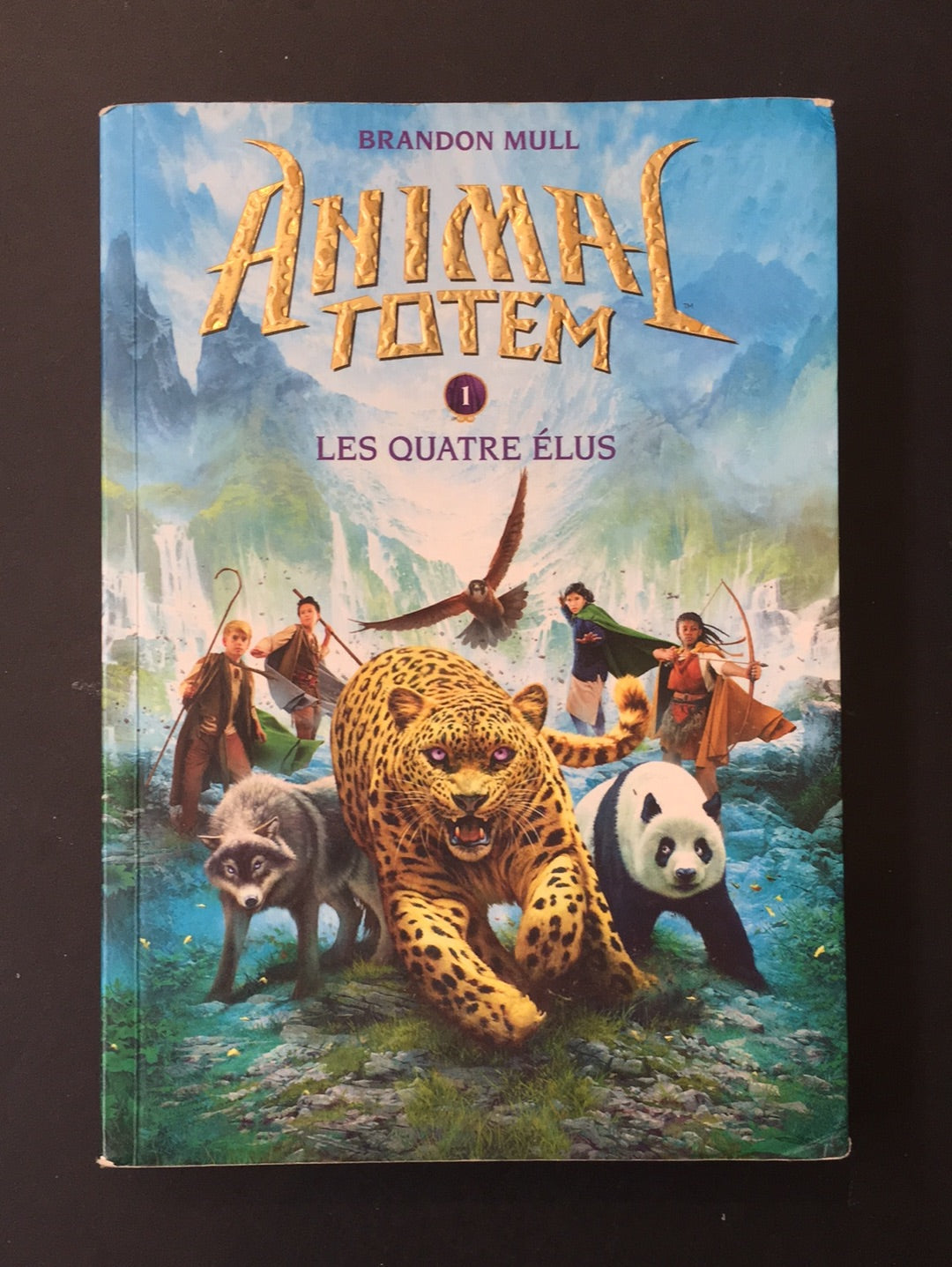 ANIMAL TOTEM - T.01 LES QUATRE ÉLUS