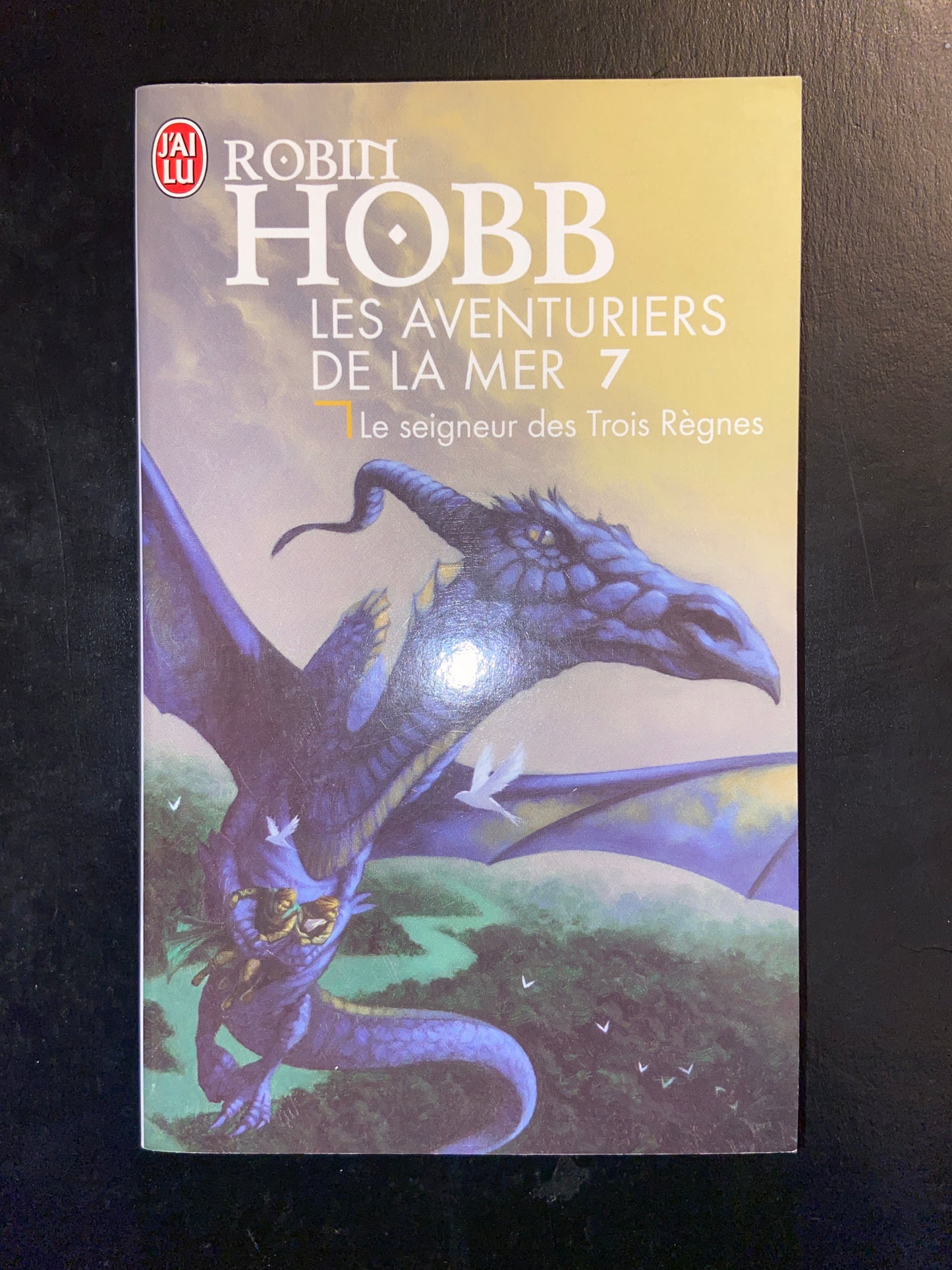 LES AVENTURIERS DE LA MER - T.07 - LE SEIGNEUR DES TROIS RÈGNES