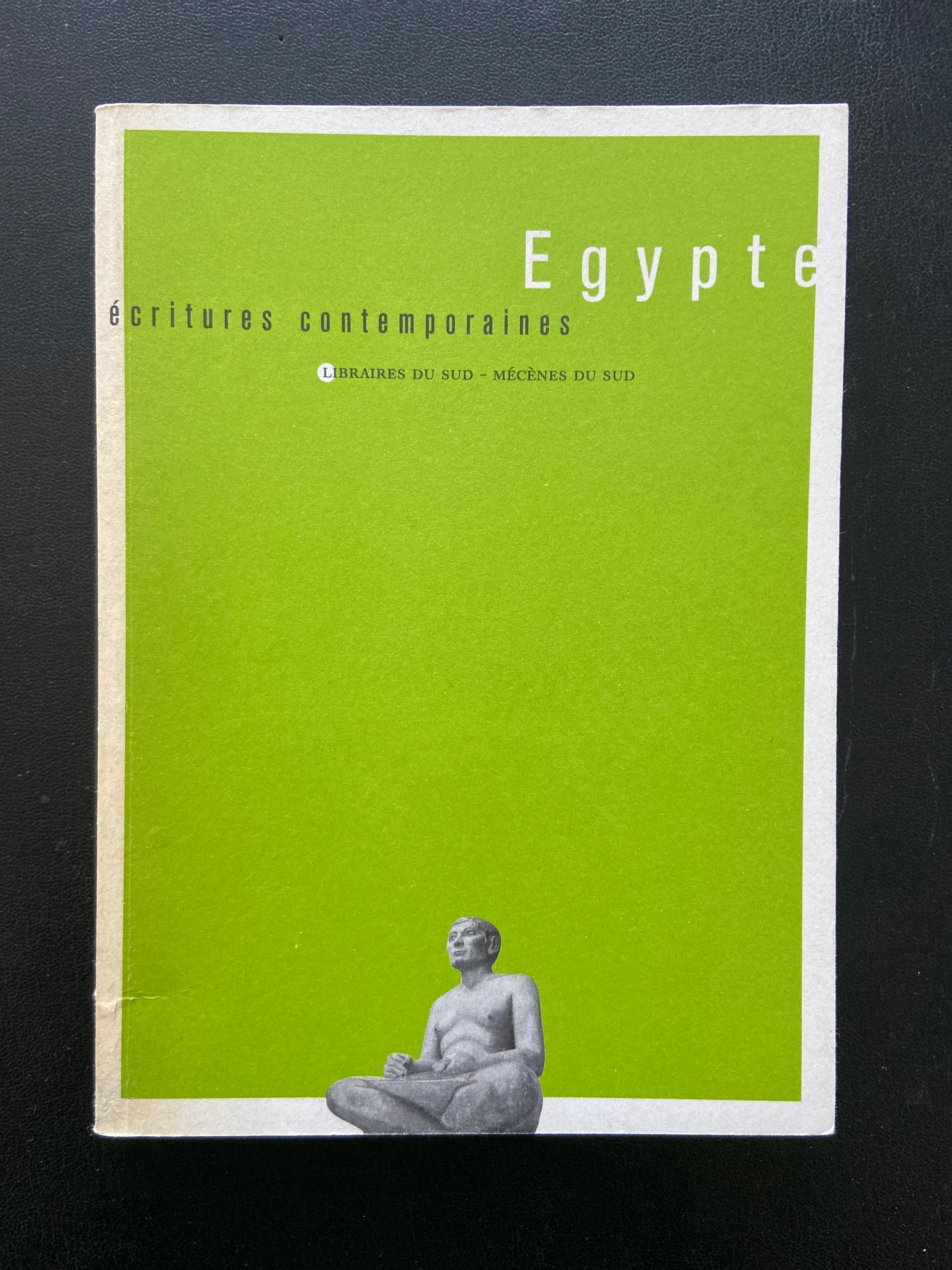 EGYPTE - ÉCRITURE CONTEMPORAINES