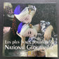 LES PLUS BEAUX PORTRAITS DU NATIONAL GEOGRAPHIC