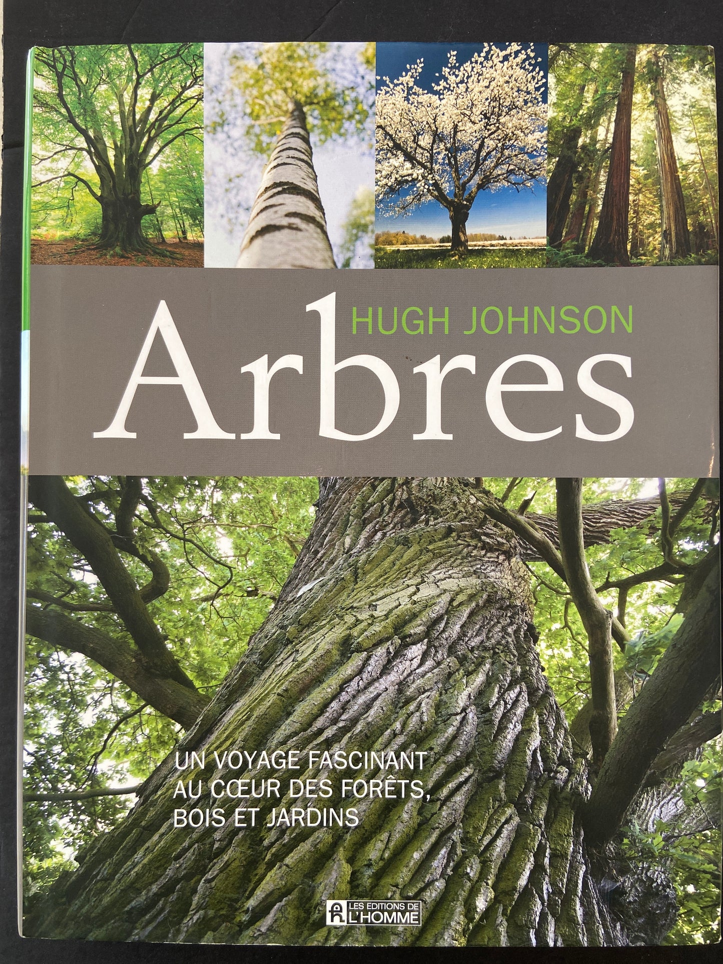 ARBRES - UN VOYAGE FASCINANT AU COEUR DES FORÊTS