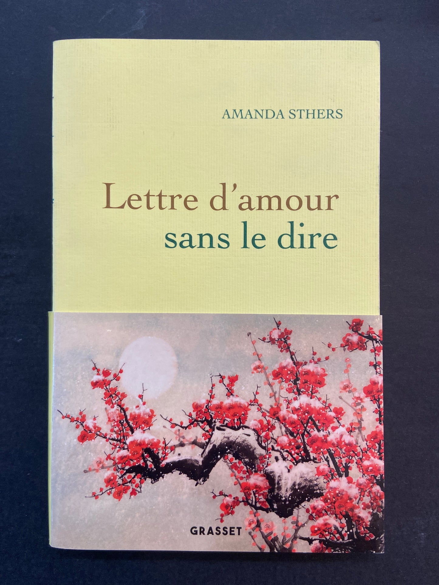 LETTRE D'AMOUR SANS LE DIRE