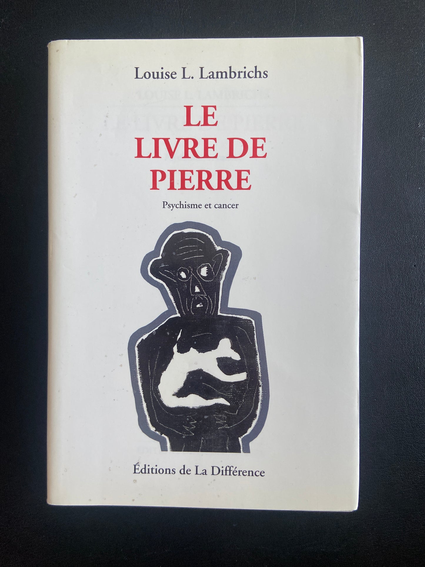 LE LIVRE DE PIERRE