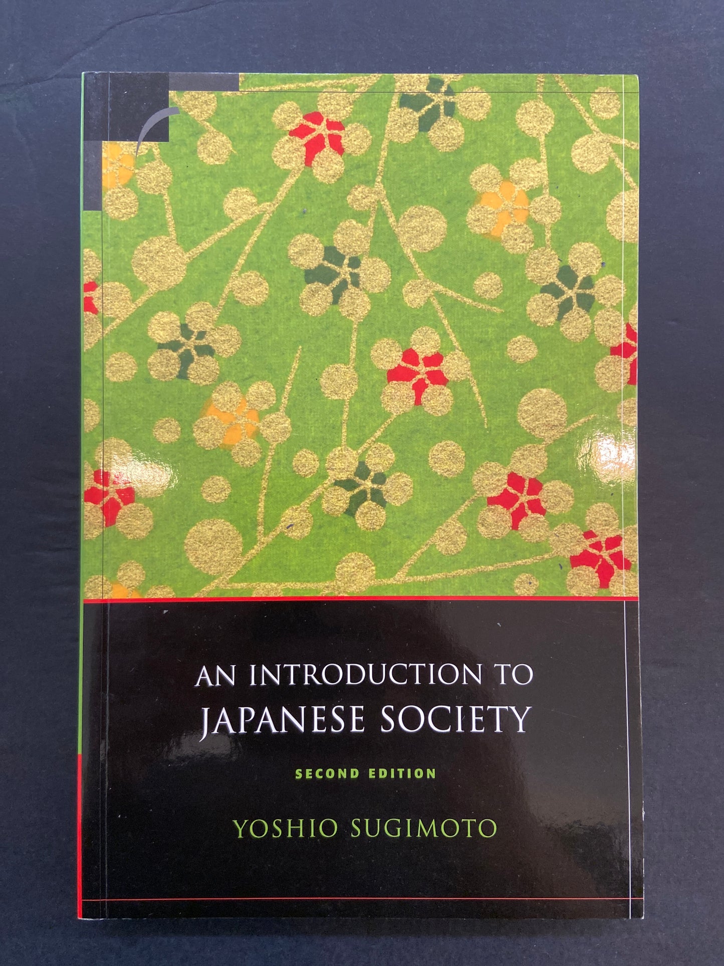A INTRODUCTION TO JAPANESE SOCIETY