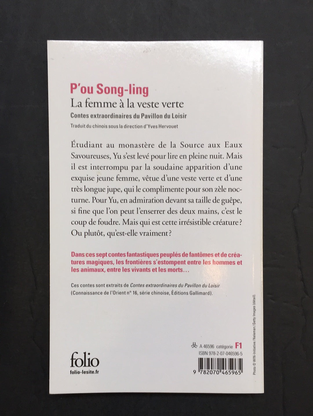 LA FEMME À LA VESTE VERTE