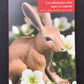 LES TRIBULATIONS D'UN LAPIN EN LAPONIE