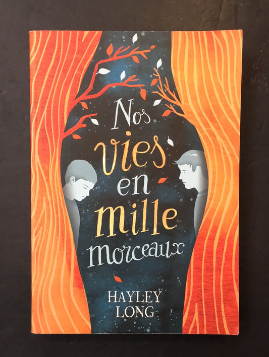 NOS VIES EN MILLE MORCEAUX