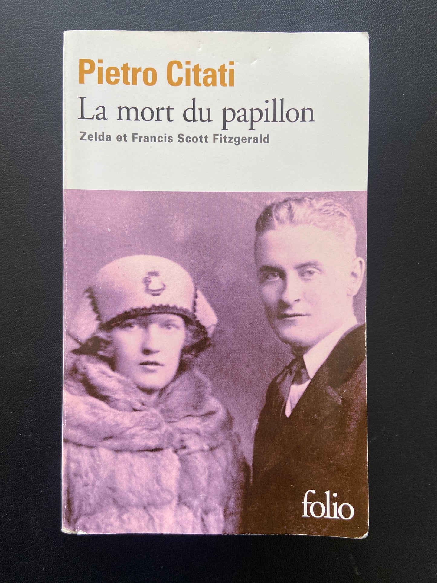 LA MORT DU PAPILLON