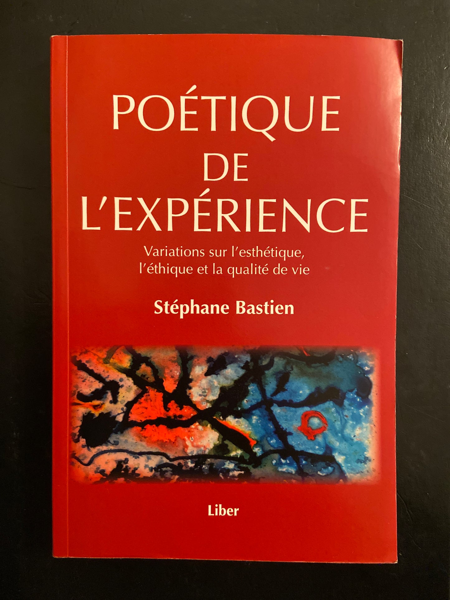 POÉTIQUE DE L'EXPÉRIENCE