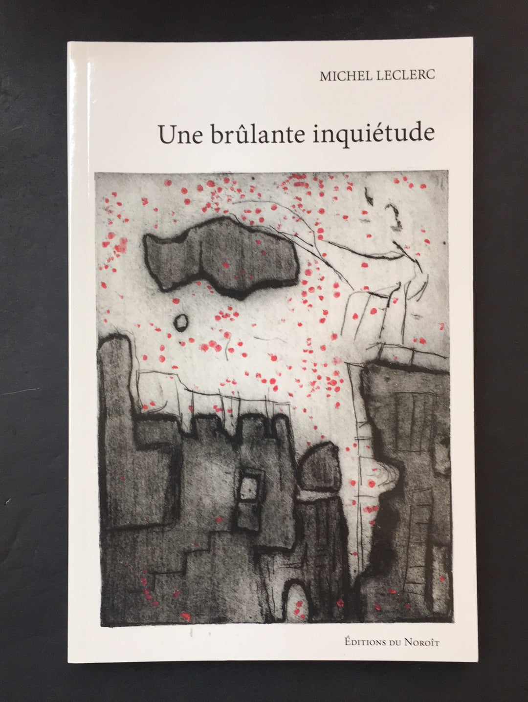 UNE BRÛLANTE INQUIÉTUDE