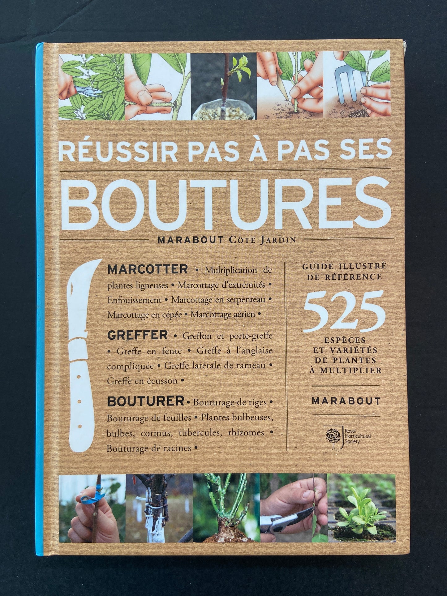 RÉUSSIR PAS À PAS SES BOUTURES