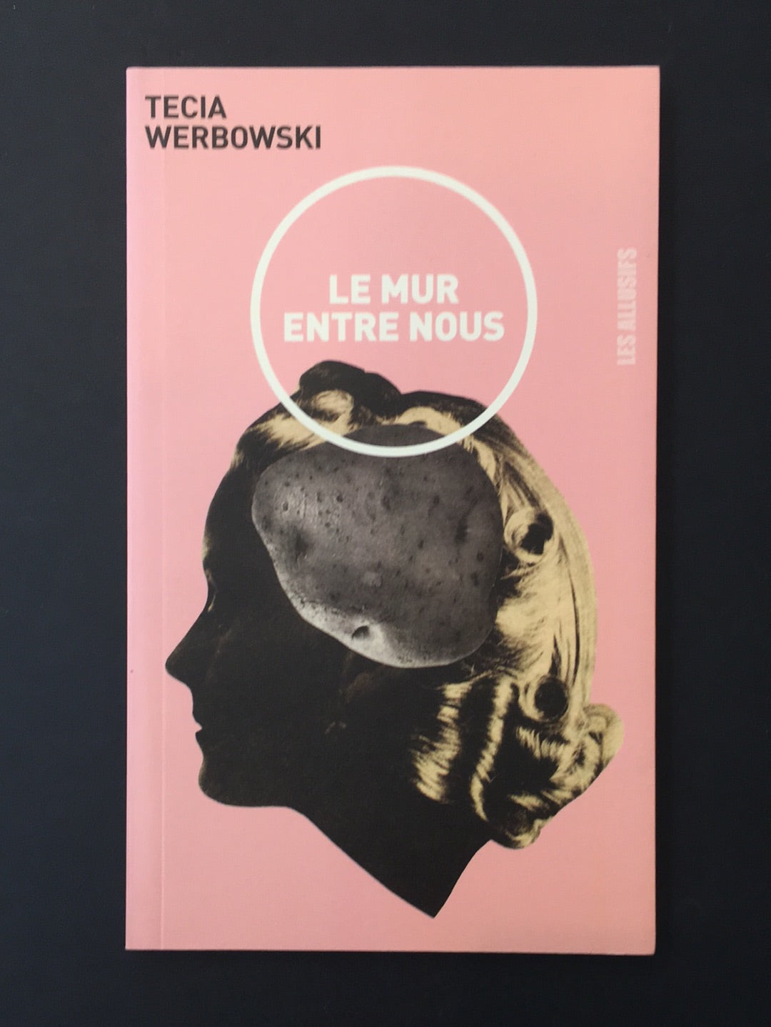 LE MUR ENTRE NOUS