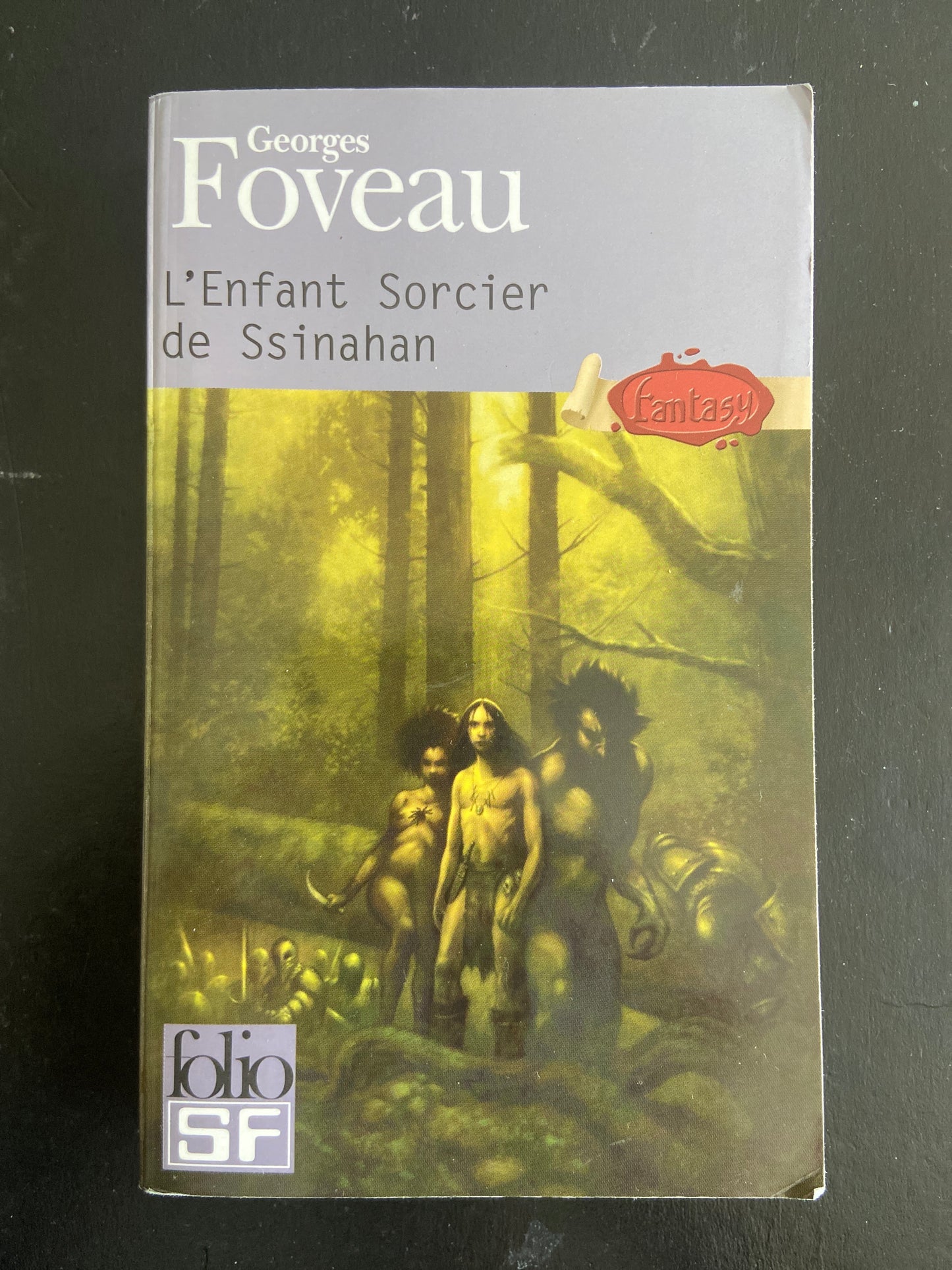 L' ENFANT DU SORCIER SSINAHAN