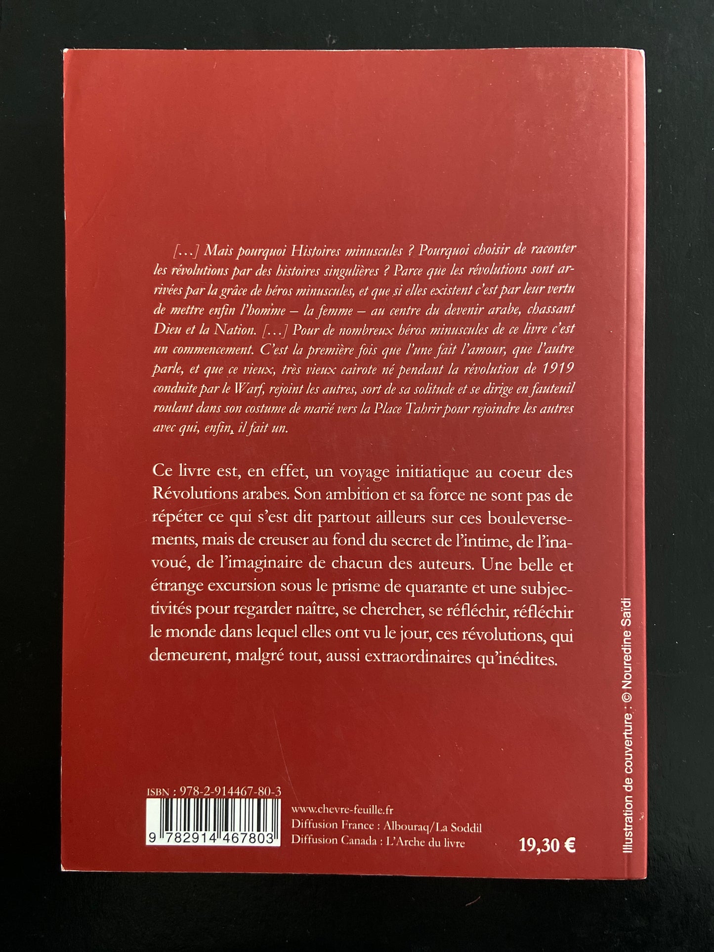 HISTOIRES MINUSCULES DES RÉVOLUTIONS ARABES