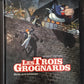 LES TROIS GROGNARDS - T.02 SUITE AUTRICHIENNE