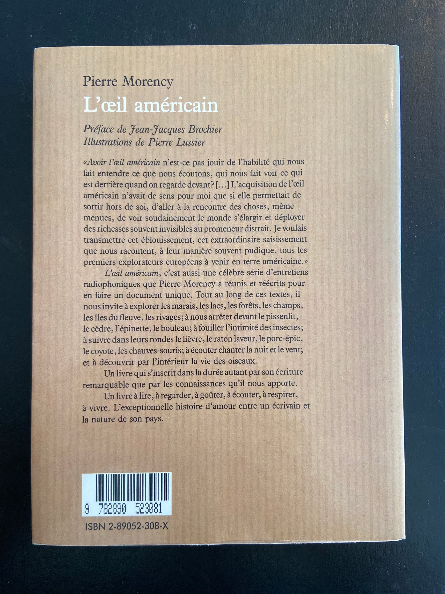 L'OEIL AMÉRICAIN