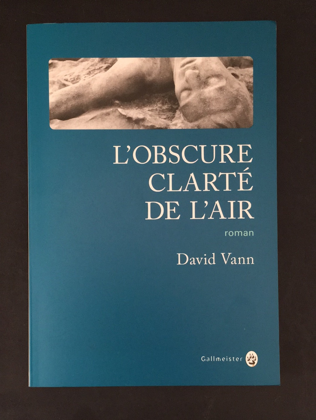 L'OBSCURE CLARTÉ DE L'AIR