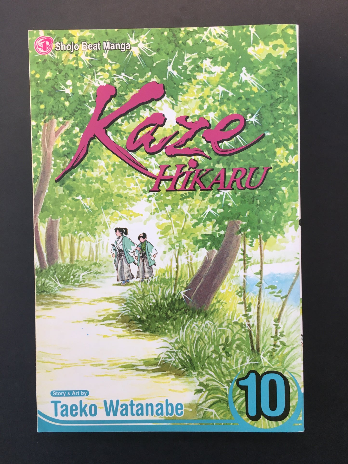 KAZE HIKARU - T.10