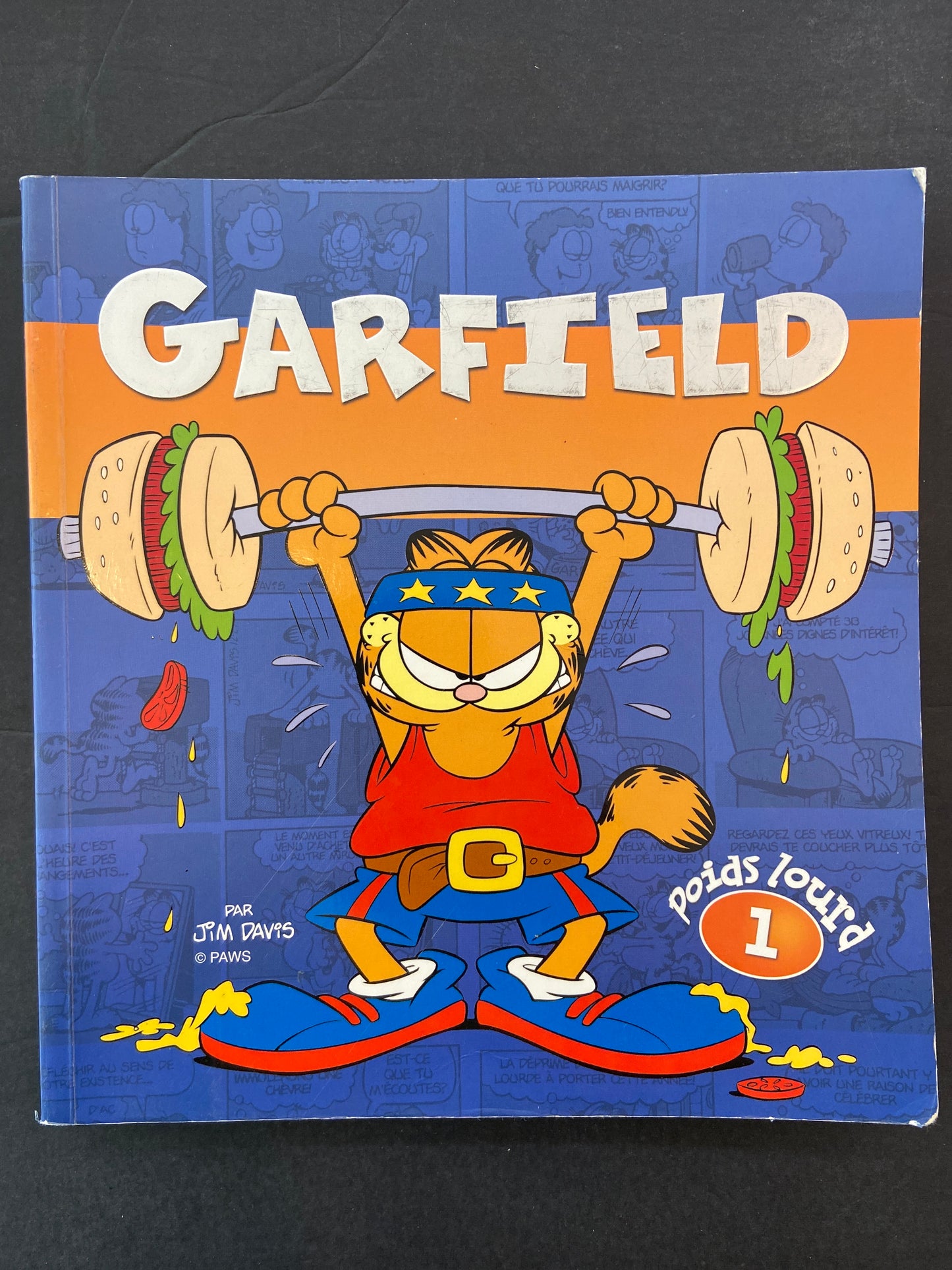 GARFIELD  POIDS - LOURD T.01