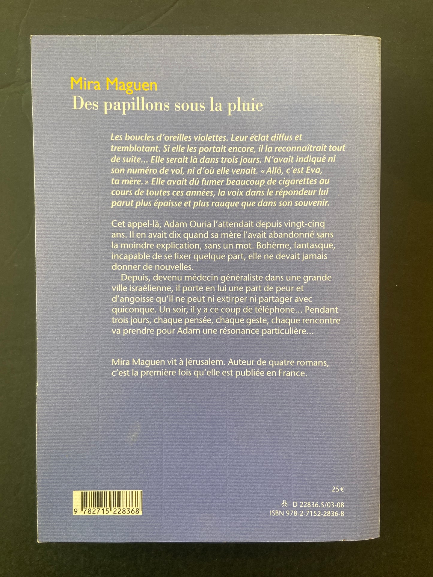 DES PAPILLONS SOUS LA PLUIE