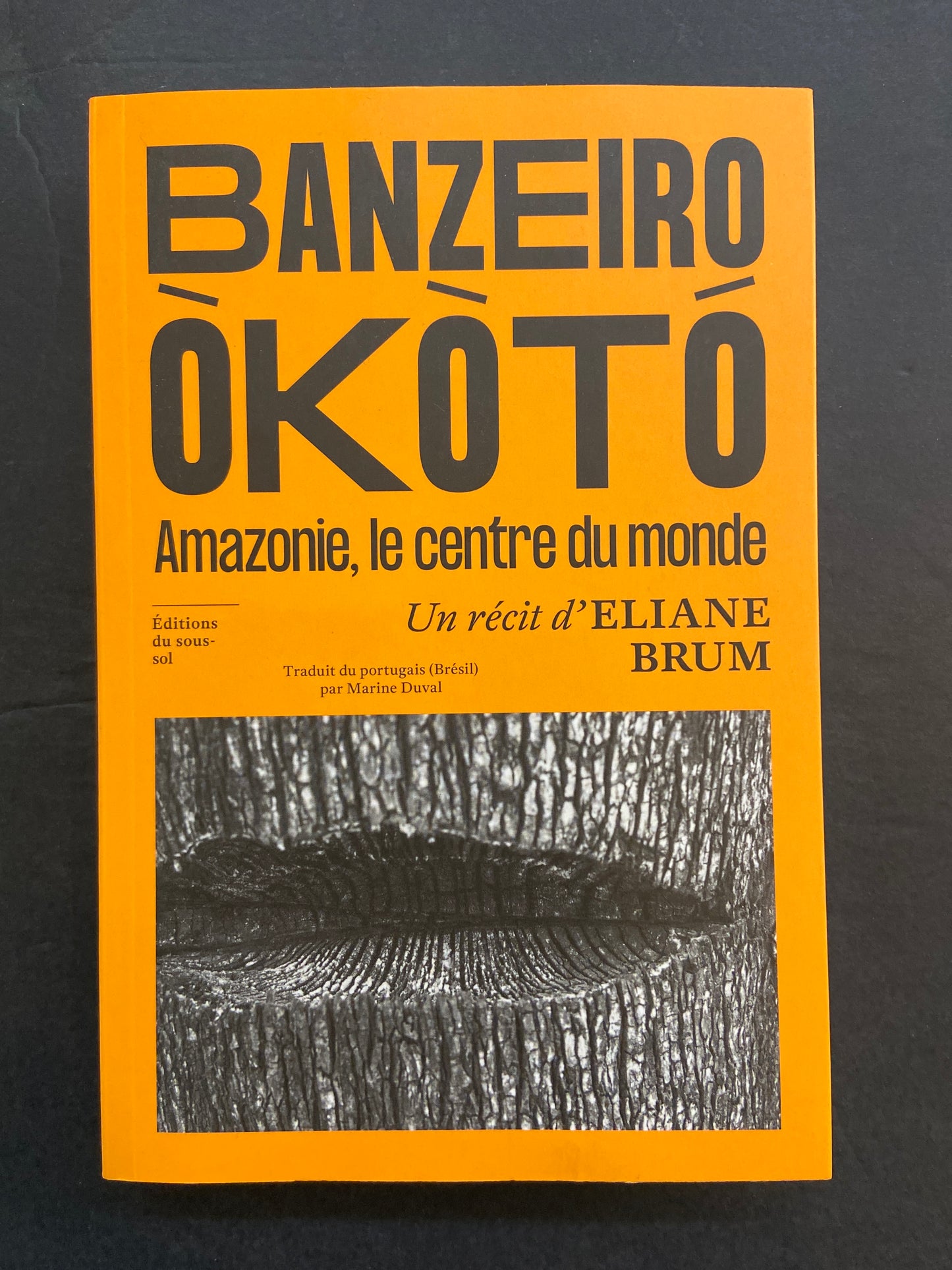 BANZEIRO OKOTO - AMAZONIE LE CENTRE DU MONDE