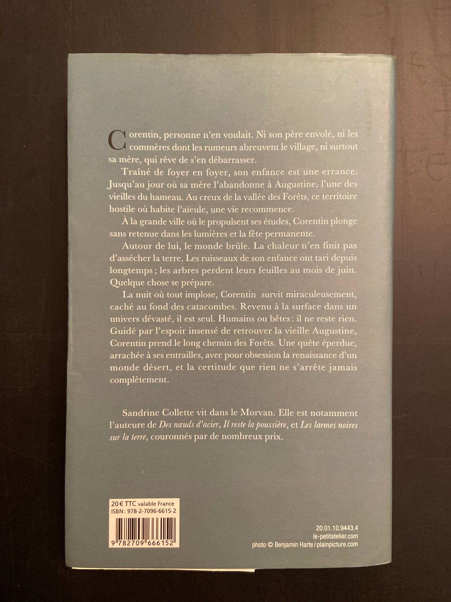 ET TOUJOURS LES FORÊTS