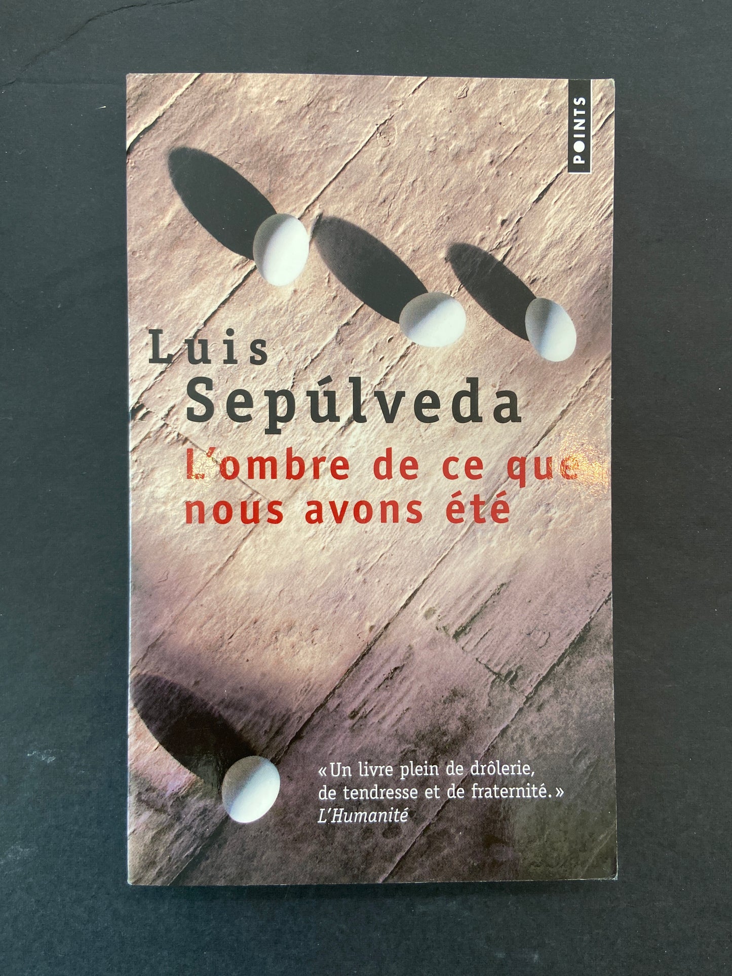 L'OMBRE DE CE QUE NOUS AVONS ÉTÉ