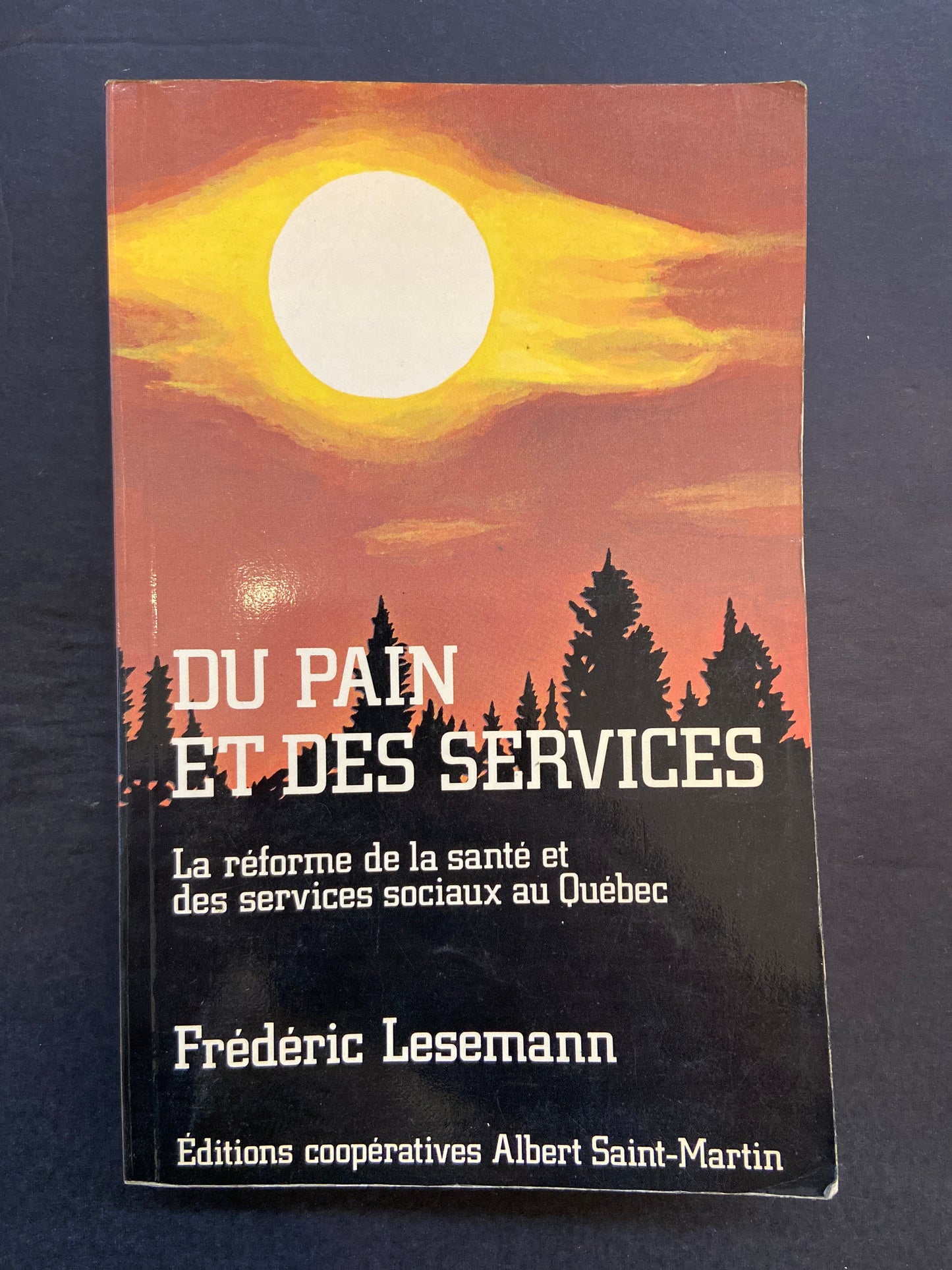 DU PAIN ET DES SERVICES - LA RÉFORME DE LA SANTÉ ET DES SERVICES SOCIAUX AU QUÉBEC