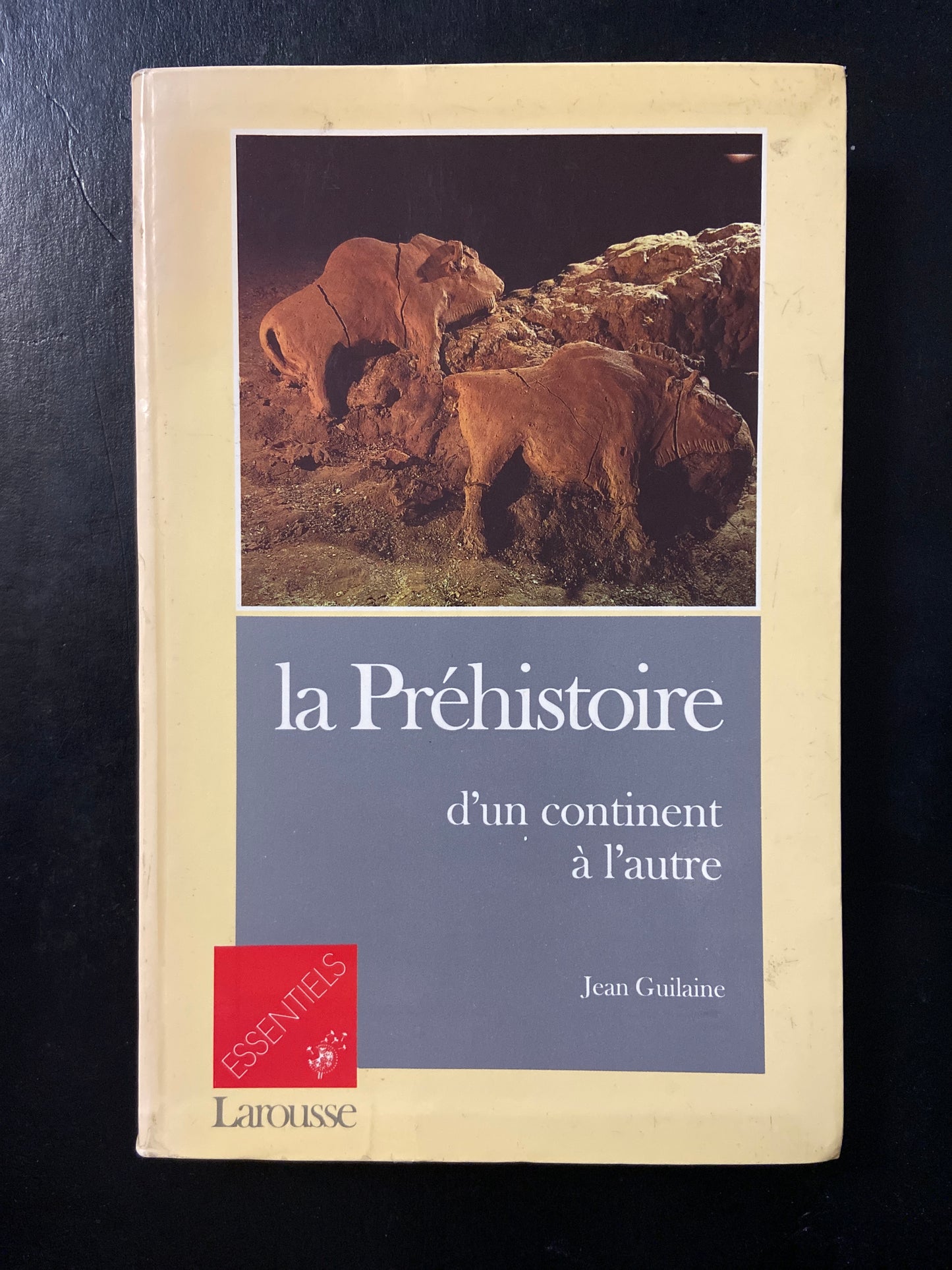 LA PRÉHISTOIRE D'UN CONTINENT À L'AUTRE