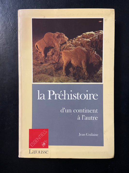 LA PRÉHISTOIRE D'UN CONTINENT À L'AUTRE
