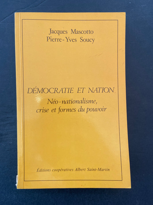DÉMOCRATIE ET NATION - NÉO-NATIONALISME. CRISE ET FORMES DU POUVOIR