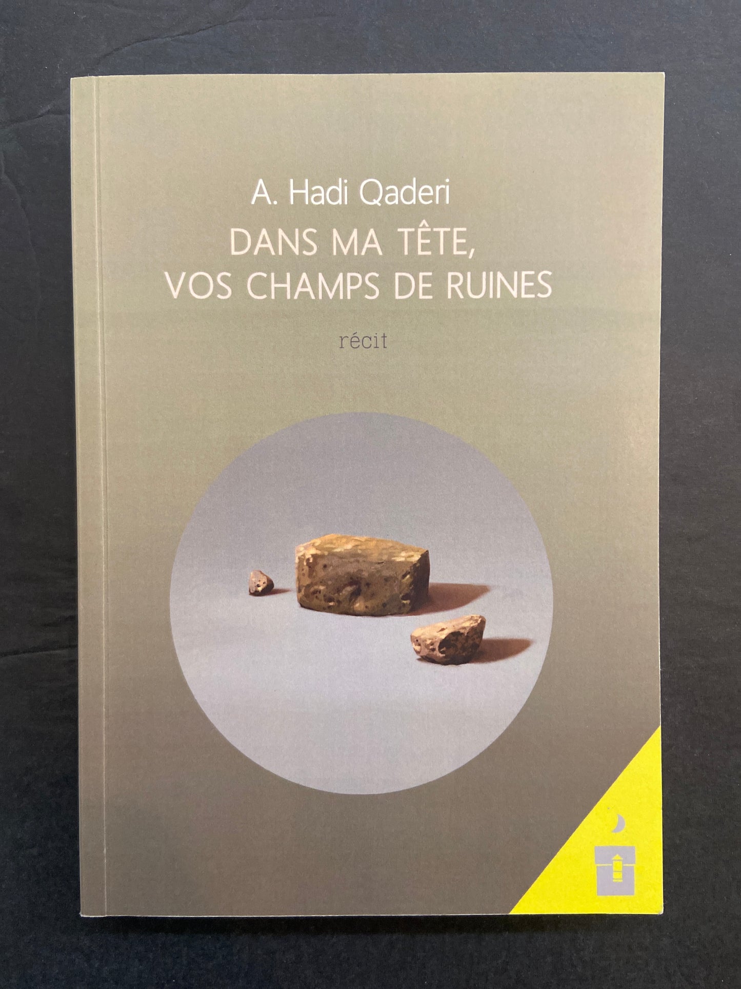 DANS MA TÊTE VOS CHAMPS DE RUINES