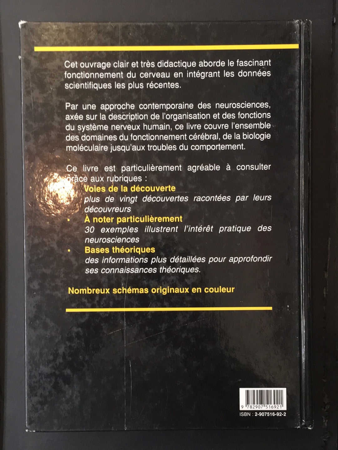 NEUROSCIENCES - À LA DÉCOUVERTE DU CERVEAU