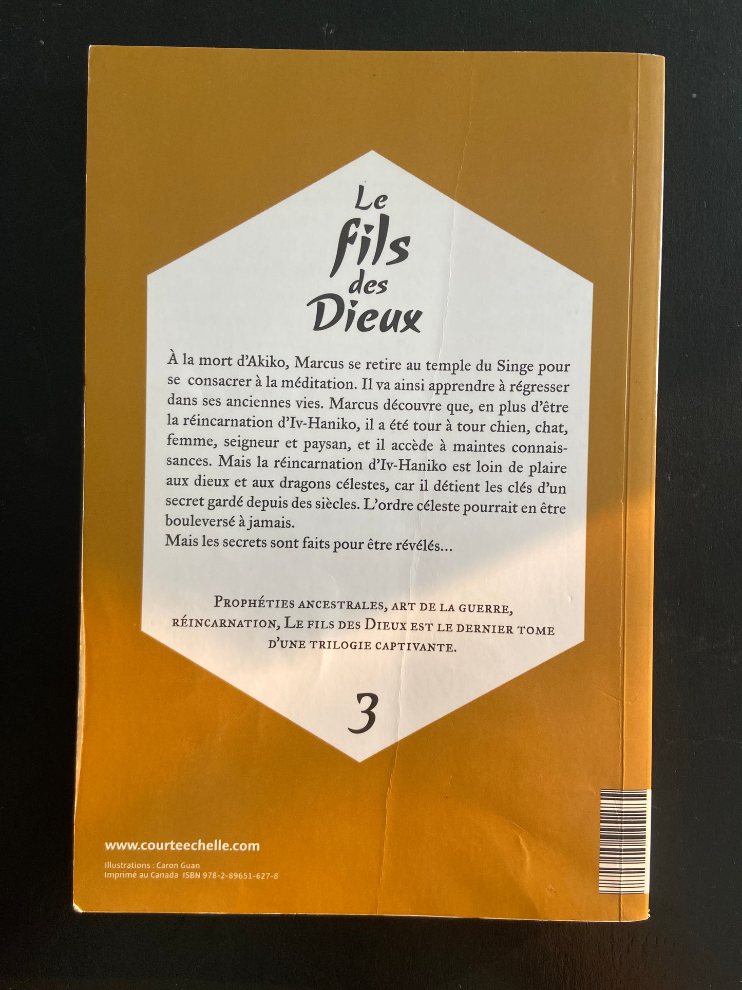 LE FILS DES DIEUX
