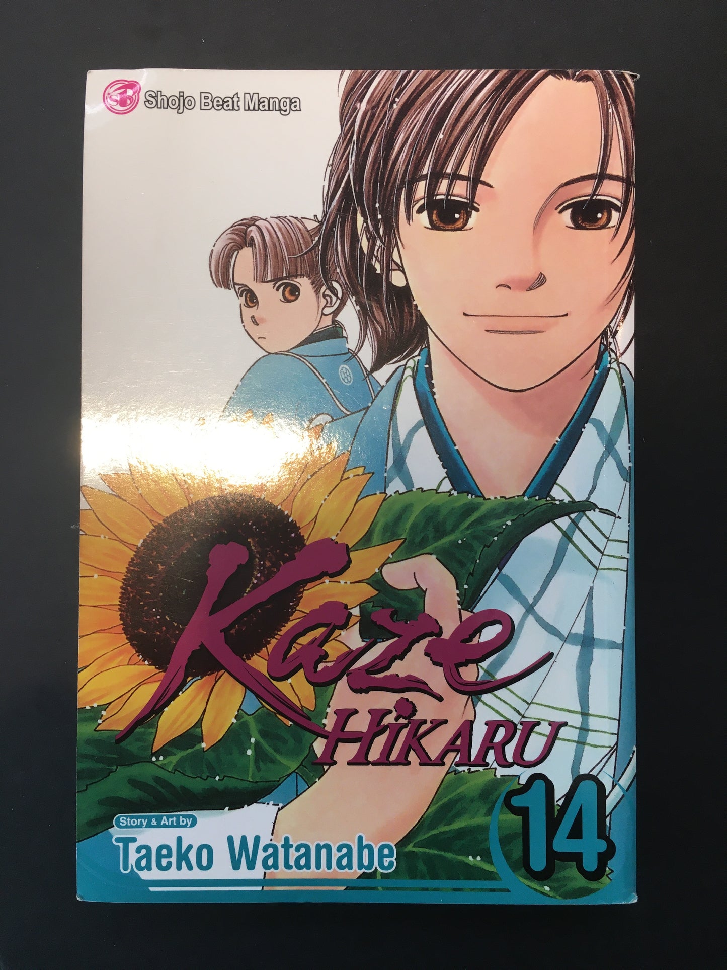 KAZE HIKARU - T.14