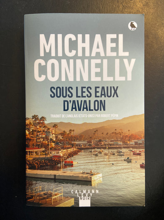 SOUS LES EAUX D'AVALON