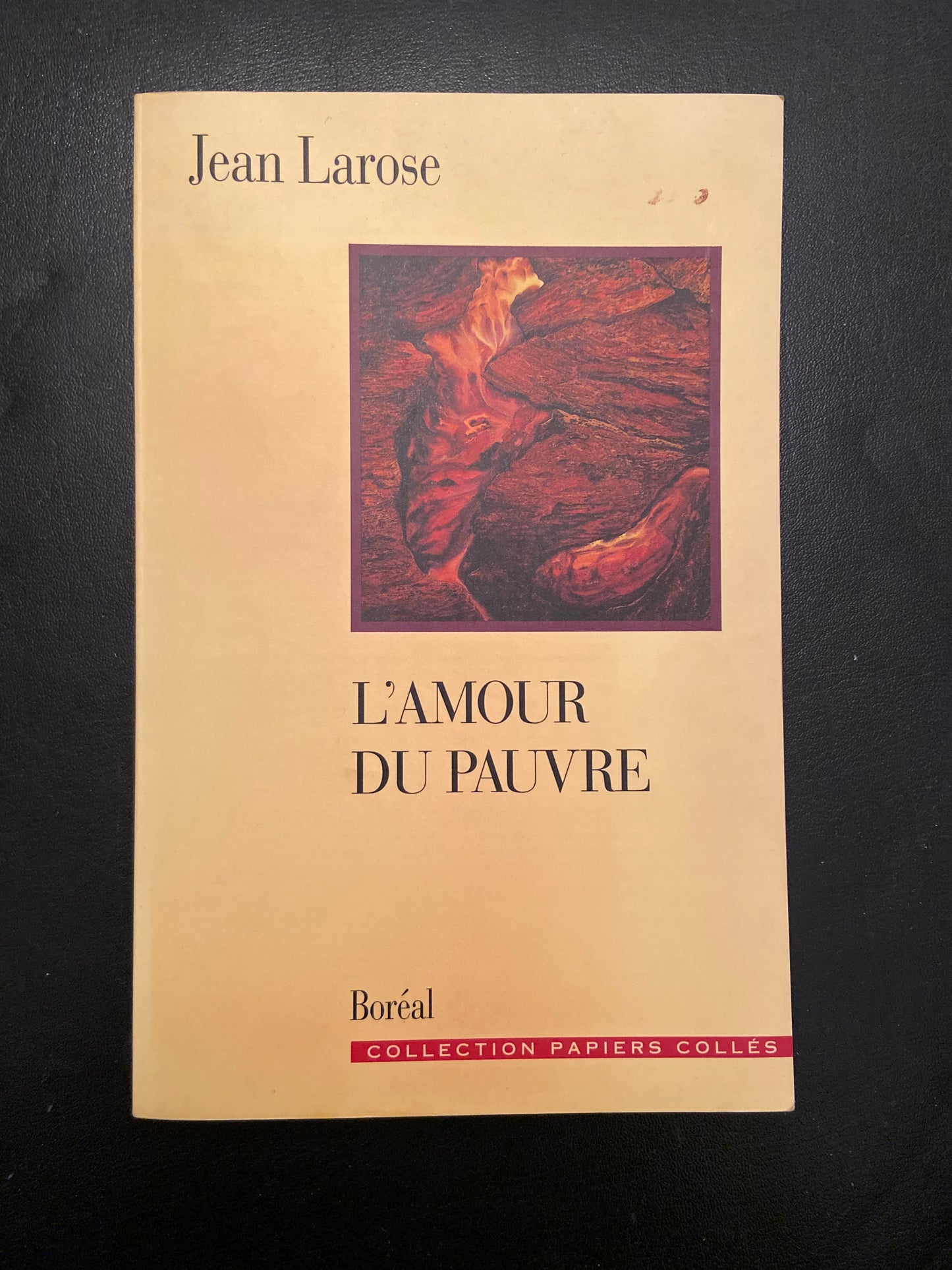 L'AMOUR DU PAUVRE