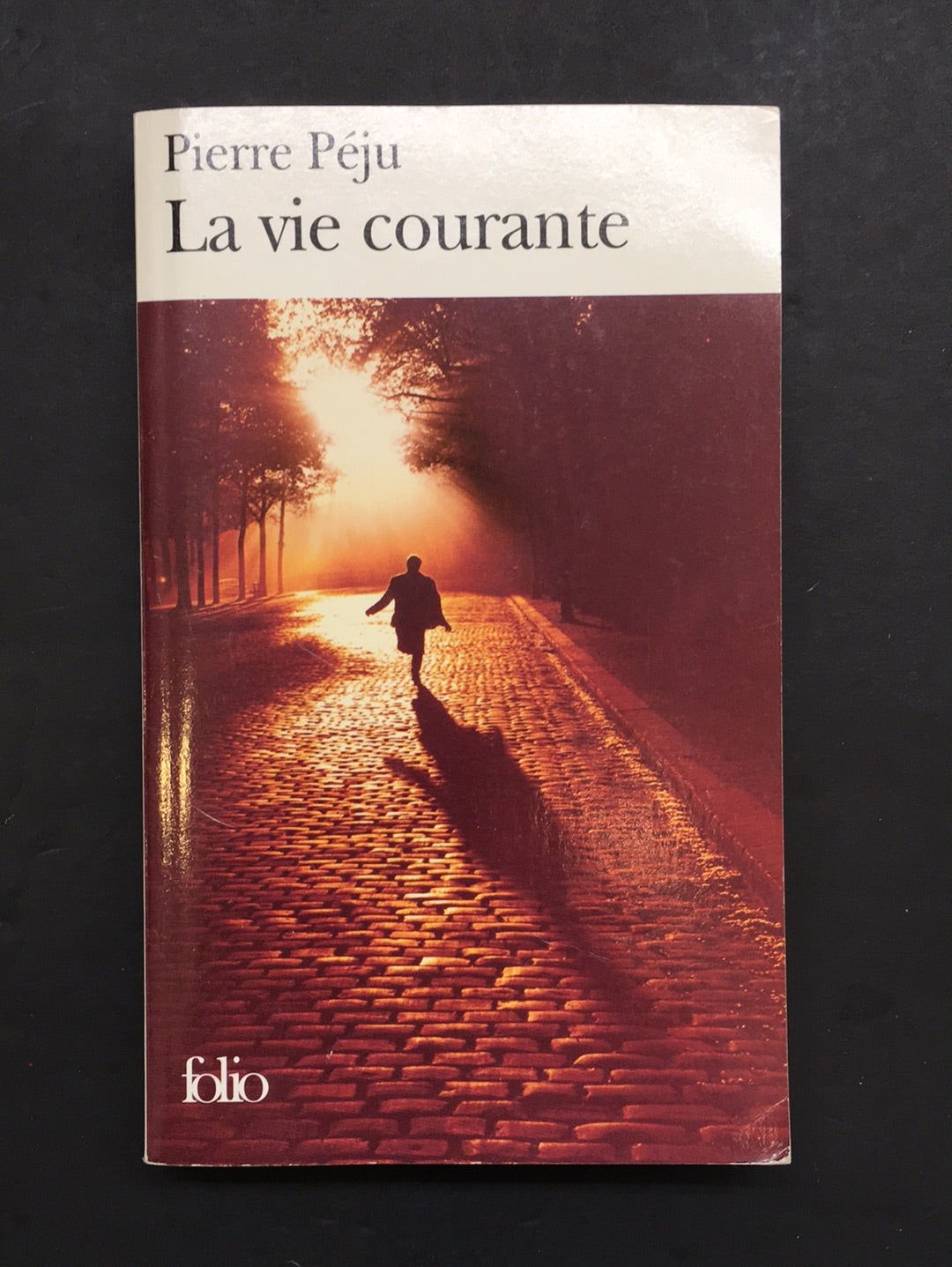 LA VIE COURANTE