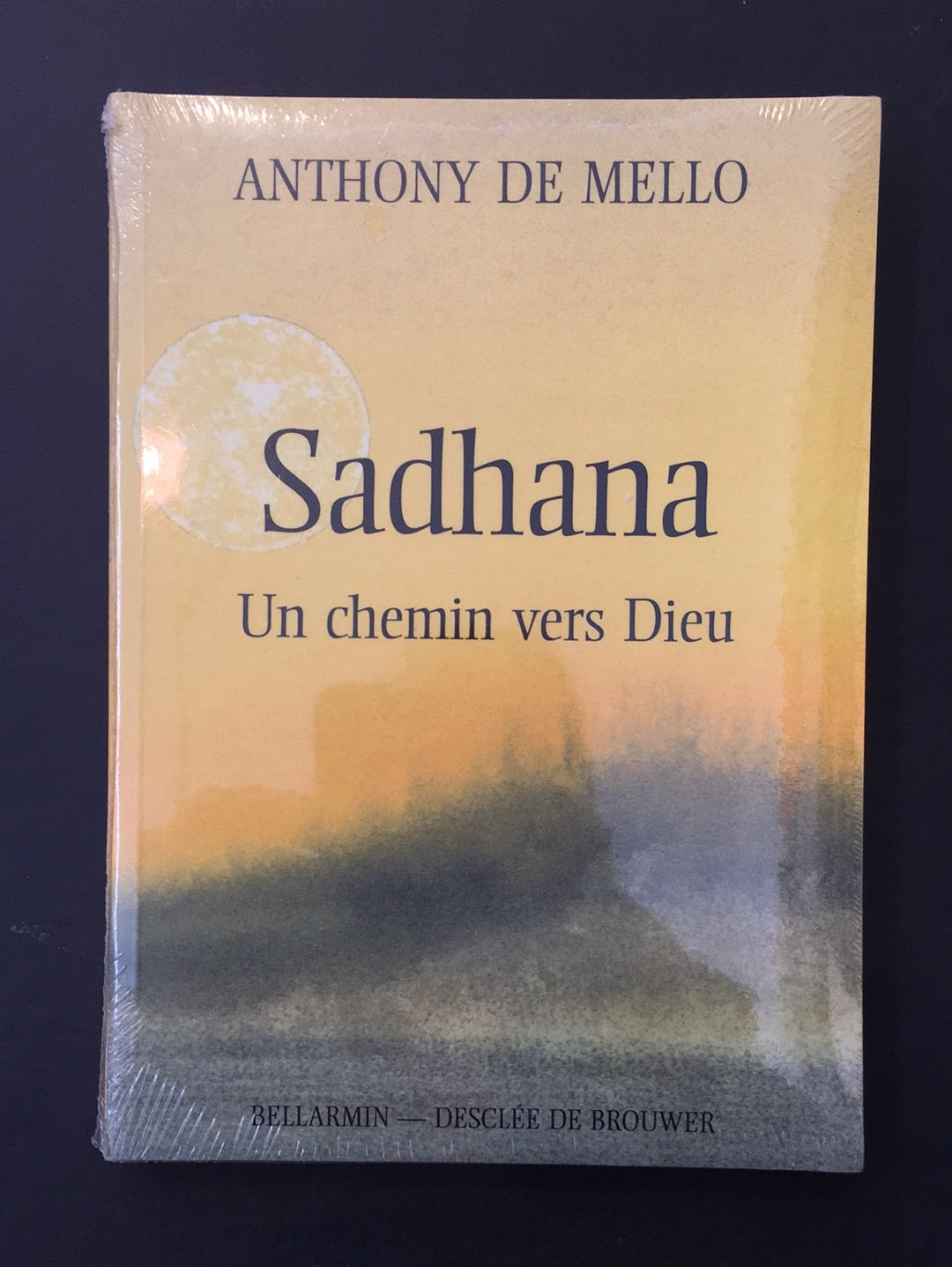 SADHANA - UN CHEMIN VERS DIEU