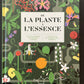 DE LA PLANTE À L'ESSENCE / FROM PLANT TO ESSENCE