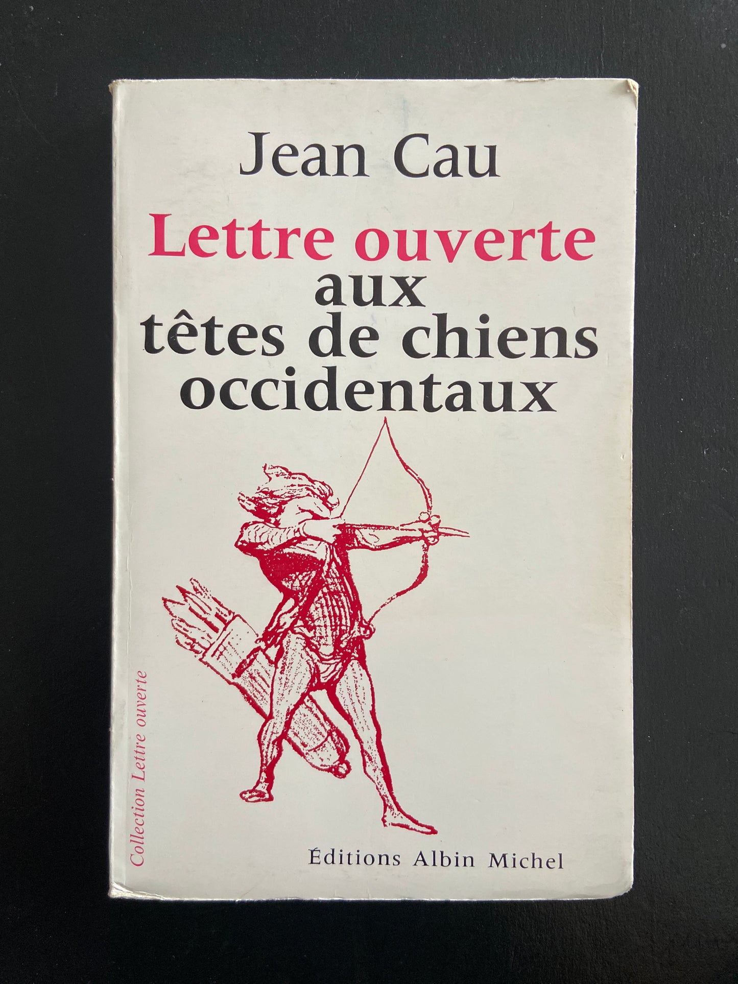 LETTRE OUVERTE AUX TÊTES DE CHIENS OCCIDENTAUX