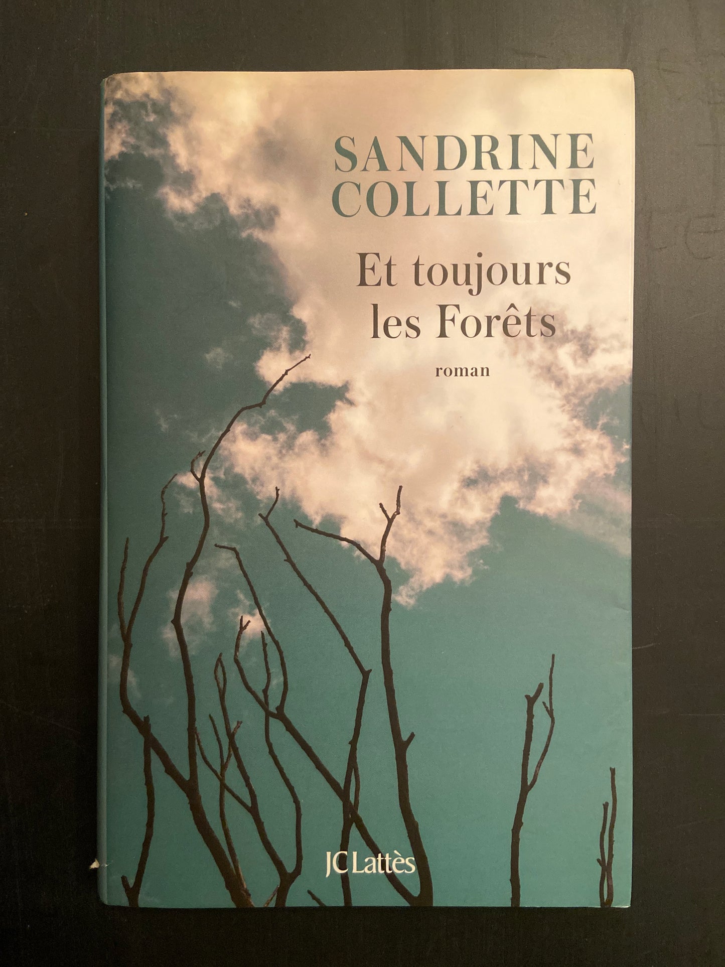 ET TOUJOURS LES FORÊTS